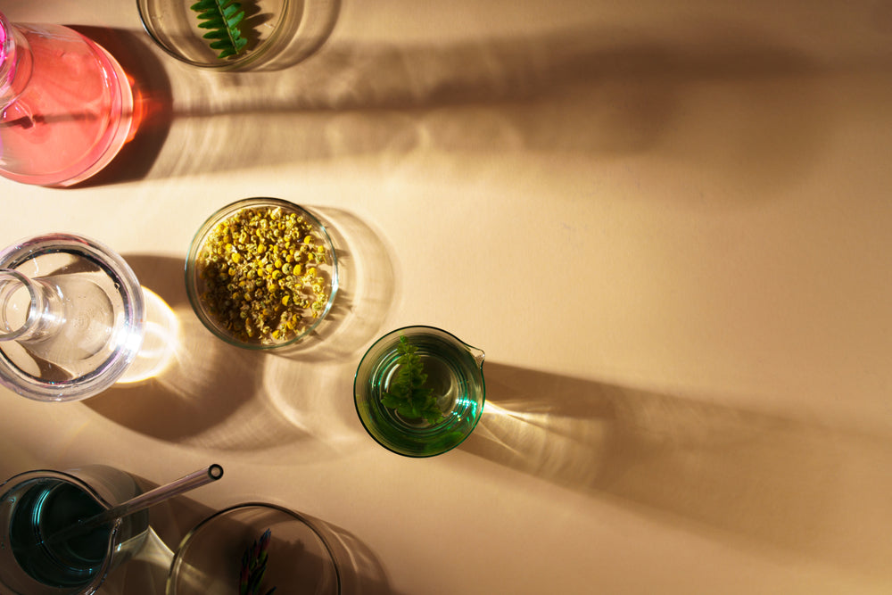 Glass bowls with botanicals and herbal infusions in soft sunlight — marine collagen supports skin elasticity and ageing
